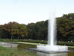 上野公園竹の台広場 噴水広場 ココシル上野